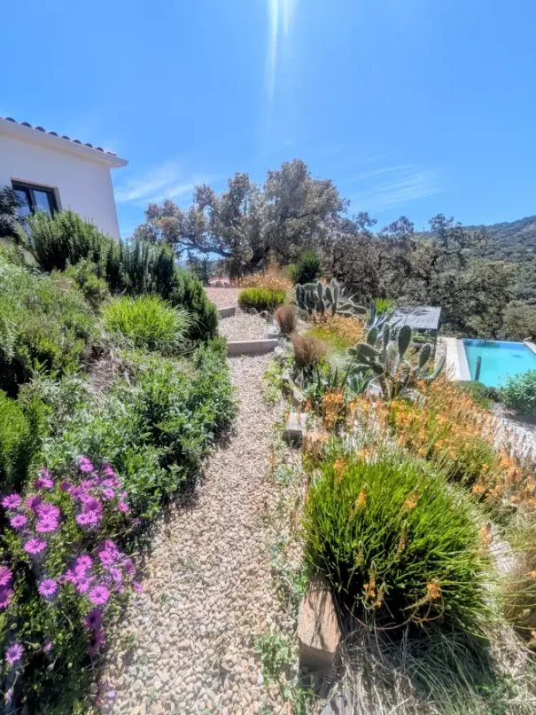 Casa Bohemia pool view 877x660px
