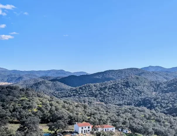 surrounding hills Finca Bravo